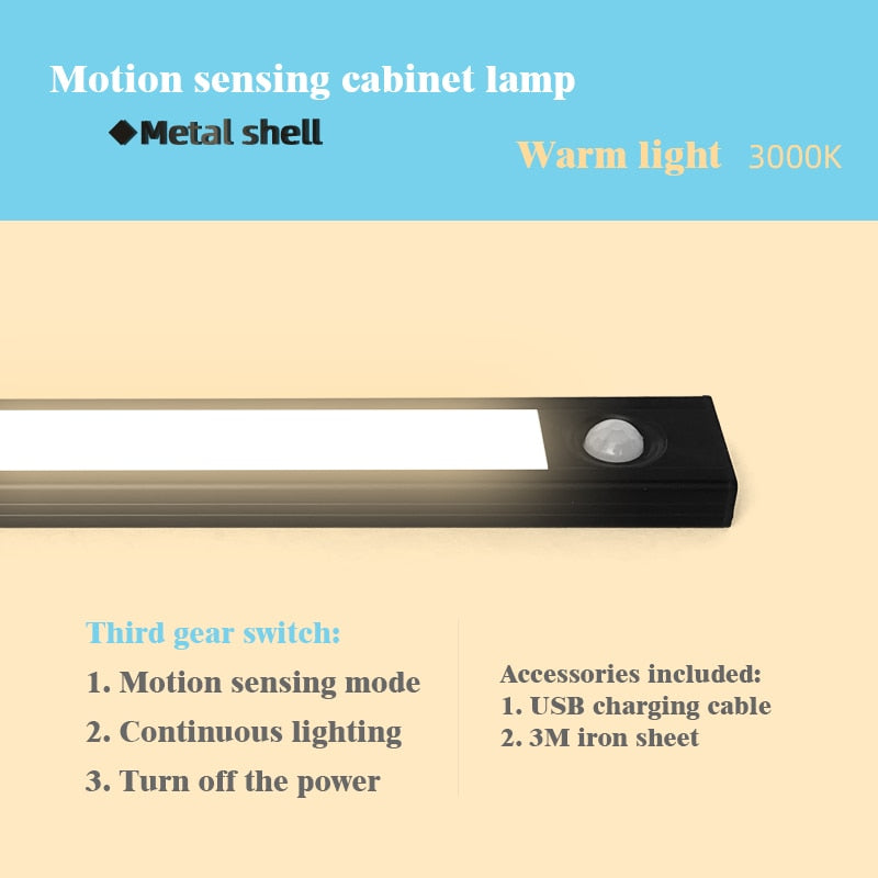 Motion Sensor Light